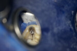 DSC03253-300×199 DSC03253-300×199