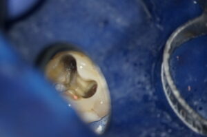 DSC03258-300×199 DSC03258-300×199