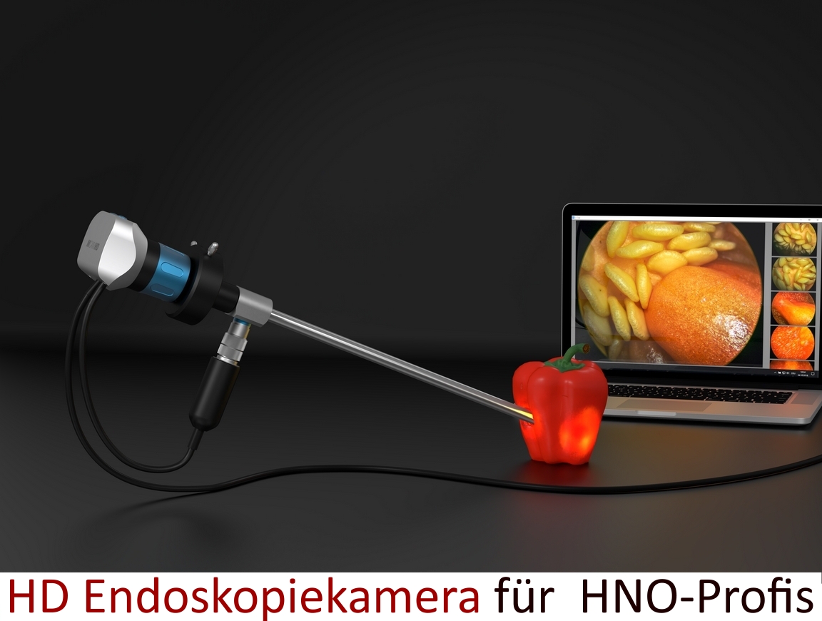 startseite-2-neu